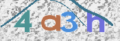 画像に表示された文字を入力して下さい