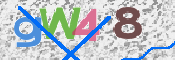 画像に表示された文字を入力して下さい