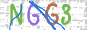 画像に表示された文字を入力して下さい