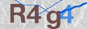 画像に表示された文字を入力して下さい