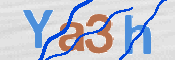 画像に表示された文字を入力して下さい