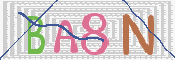 画像に表示された文字を入力して下さい