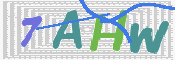 画像に表示された文字を入力して下さい