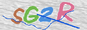 画像に表示された文字を入力して下さい
