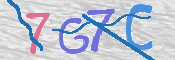 画像に表示された文字を入力して下さい