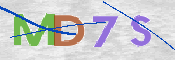 画像に表示された文字を入力して下さい