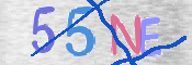 画像に表示された文字を入力して下さい