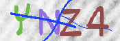 画像に表示された文字を入力して下さい