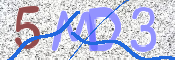 画像に表示された文字を入力して下さい