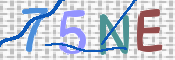 画像に表示された文字を入力して下さい
