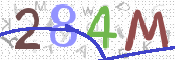 画像に表示された文字を入力して下さい
