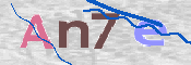 画像に表示された文字を入力して下さい