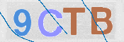 画像に表示された文字を入力して下さい