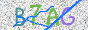 画像に表示された文字を入力して下さい