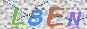 画像に表示された文字を入力して下さい