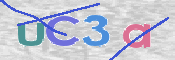 画像に表示された文字を入力して下さい