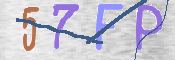 画像に表示された文字を入力して下さい
