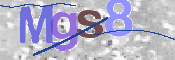 画像に表示された文字を入力して下さい