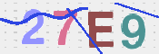 画像に表示された文字を入力して下さい