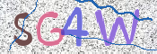 画像に表示された文字を入力して下さい