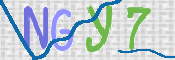 画像に表示された文字を入力して下さい