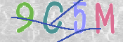 画像に表示された文字を入力して下さい