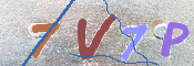 画像に表示された文字を入力して下さい