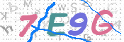 画像に表示された文字を入力して下さい
