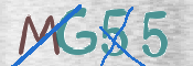 画像に表示された文字を入力して下さい