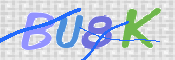 画像に表示された文字を入力して下さい