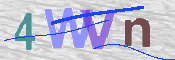 画像に表示された文字を入力して下さい