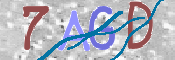 画像に表示された文字を入力して下さい