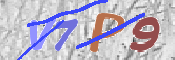画像に表示された文字を入力して下さい