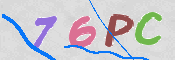 画像に表示された文字を入力して下さい