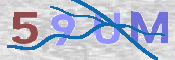 画像に表示された文字を入力して下さい