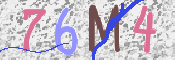 画像に表示された文字を入力して下さい