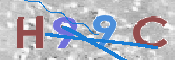画像に表示された文字を入力して下さい