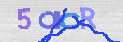 画像に表示された文字を入力して下さい