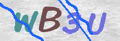 画像に表示された文字を入力して下さい