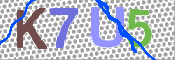 画像に表示された文字を入力して下さい