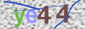 画像に表示された文字を入力して下さい