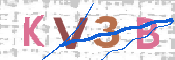 画像に表示された文字を入力して下さい