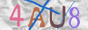 画像に表示された文字を入力して下さい