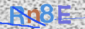 画像に表示された文字を入力して下さい