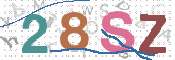 画像に表示された文字を入力して下さい