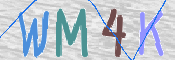 画像に表示された文字を入力して下さい