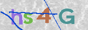 画像に表示された文字を入力して下さい