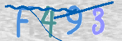 画像に表示された文字を入力して下さい