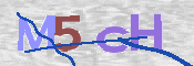 画像に表示された文字を入力して下さい
