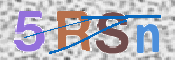画像に表示された文字を入力して下さい